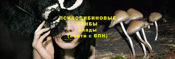 COCAINE Белокуриха
